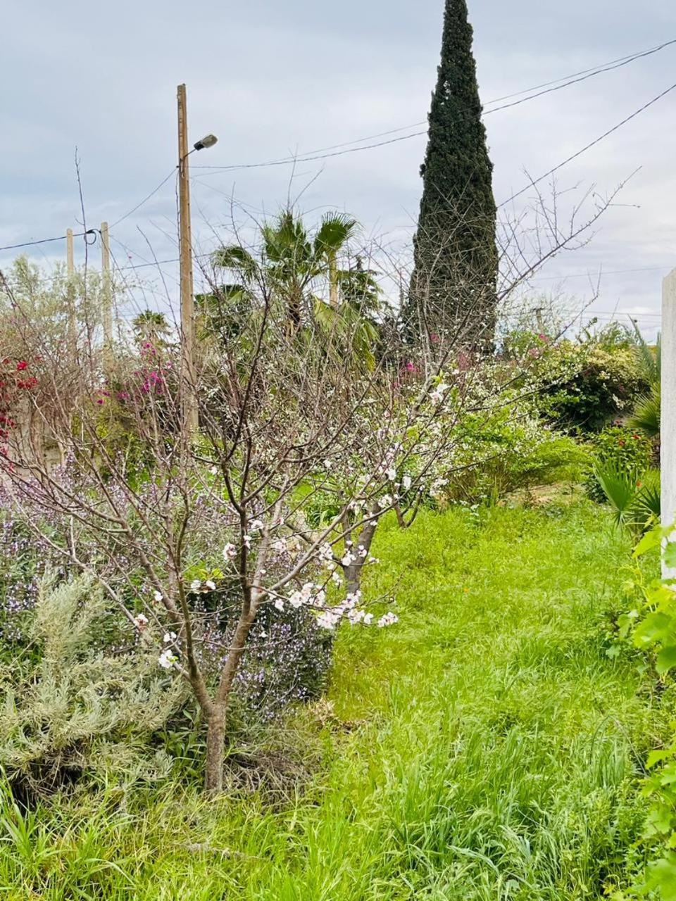 Villa Le Jasmin Oulad Bou Abdallah Extérieur photo