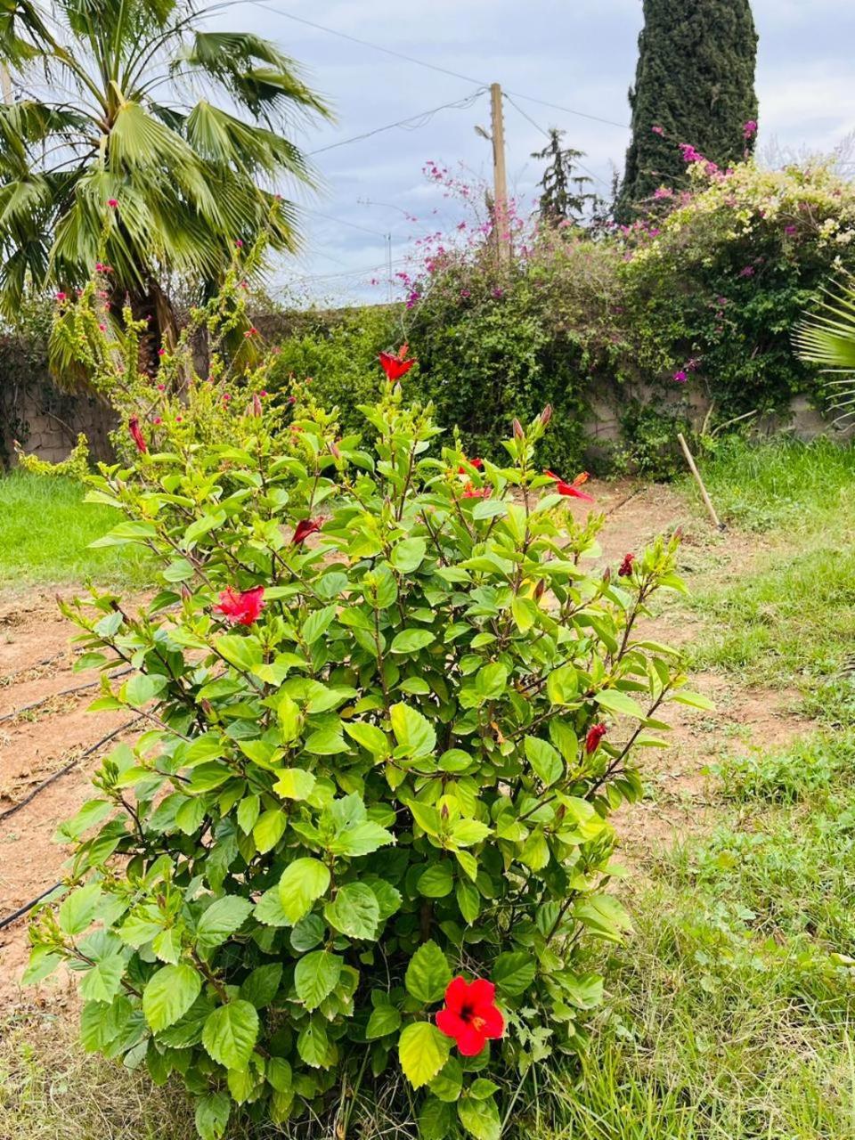 Villa Le Jasmin Oulad Bou Abdallah Extérieur photo