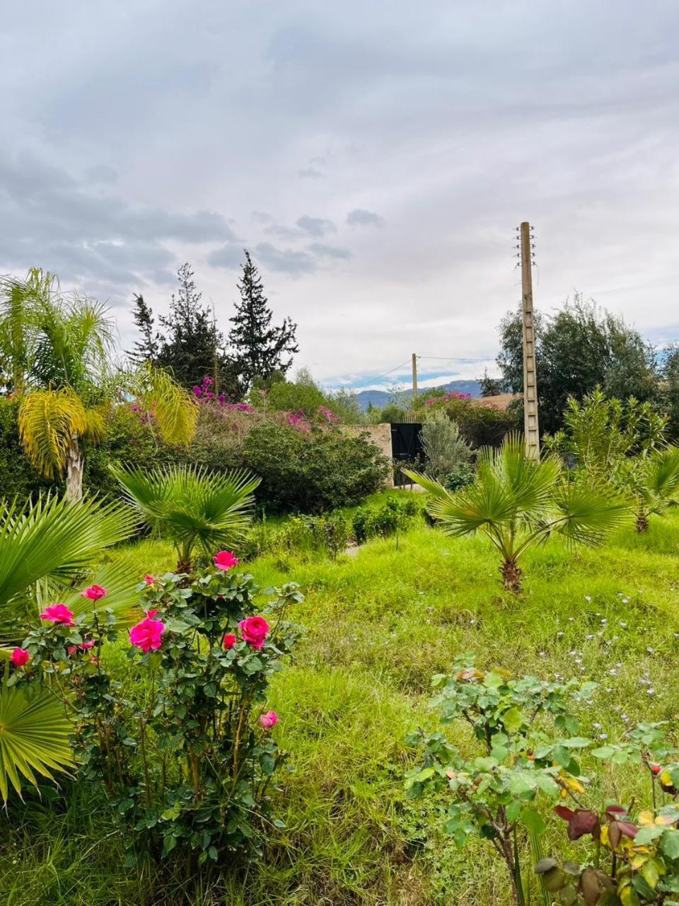 Villa Le Jasmin Oulad Bou Abdallah Extérieur photo