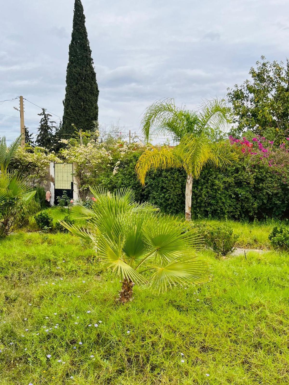 Villa Le Jasmin Oulad Bou Abdallah Extérieur photo